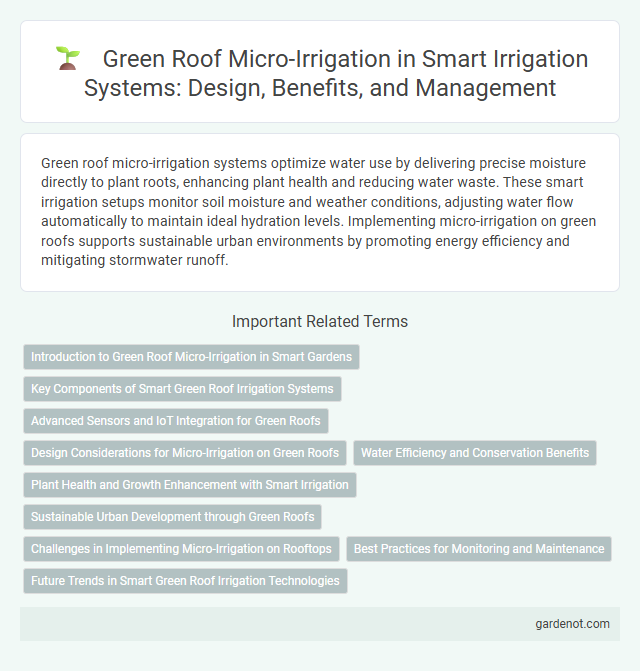 Green Roof Micro-Irrigation in Smart Irrigation Systems: Design, Benefits, and Management