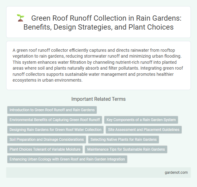 Green Roof Runoff Collection in Rain Gardens: Benefits, Design Strategies, and Plant Choices