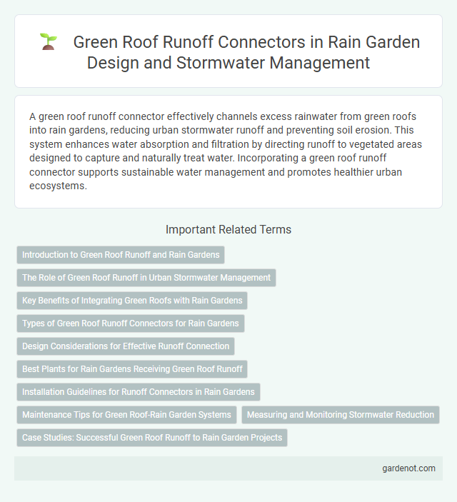 Green Roof Runoff Connectors in Rain Garden Design and Stormwater Management