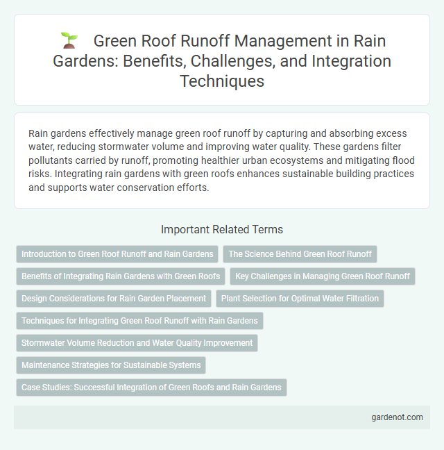 Green Roof Runoff Management in Rain Gardens: Benefits, Challenges, and Integration Techniques