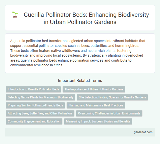 Guerilla Pollinator Beds: Enhancing Biodiversity in Urban Pollinator Gardens