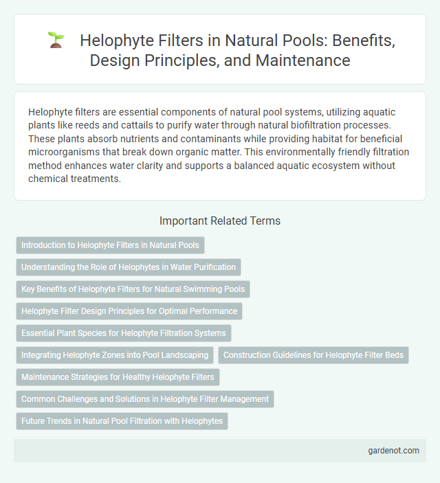 Helophyte Filters in Natural Pools: Benefits, Design Principles, and Maintenance
