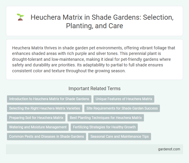 Heuchera Matrix in Shade Gardens: Selection, Planting, and Care