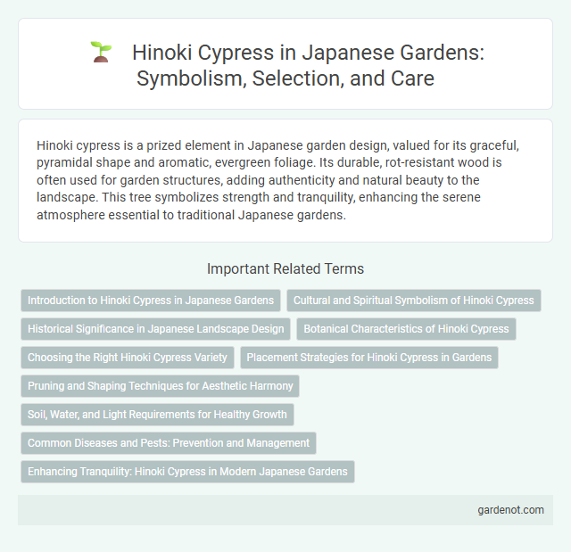 Hinoki Cypress in Japanese Gardens: Symbolism, Selection, and Care