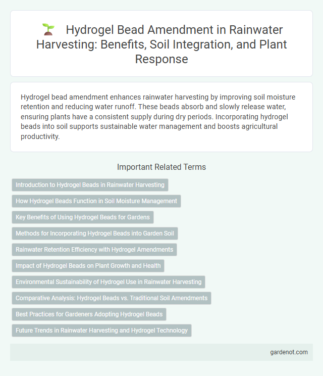 Hydrogel Bead Amendment in Rainwater Harvesting: Benefits, Soil Integration, and Plant Response