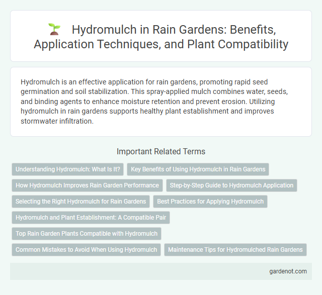 Hydromulch in Rain Gardens: Benefits, Application Techniques, and Plant Compatibility
