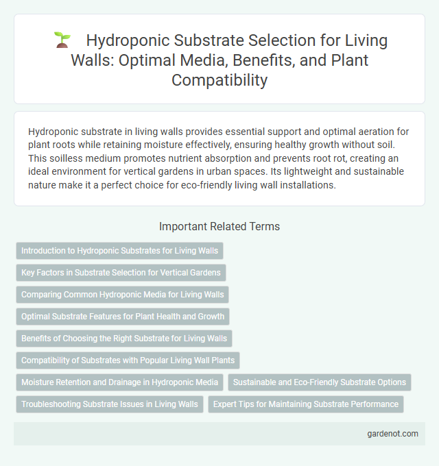 Hydroponic Substrate Selection for Living Walls: Optimal Media, Benefits, and Plant Compatibility