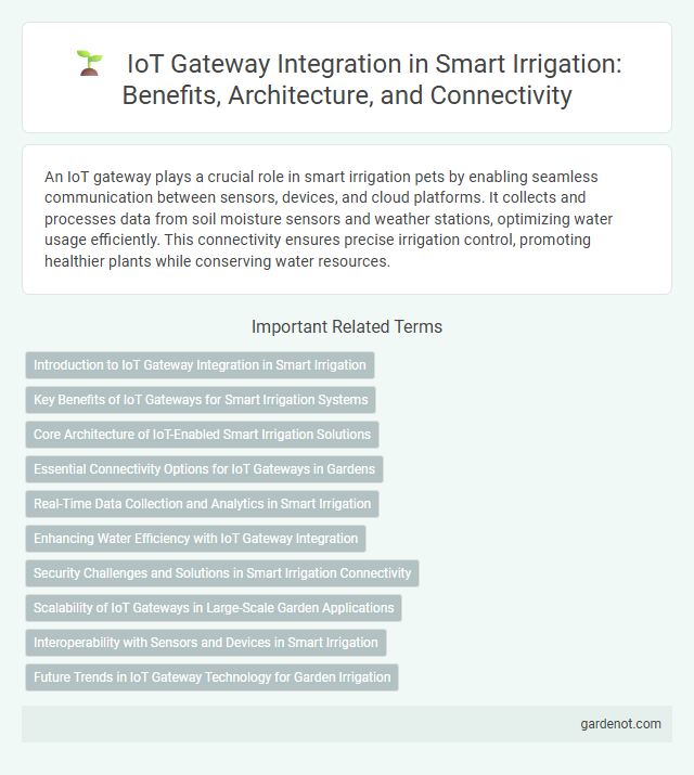 IoT Gateway Integration in Smart Irrigation: Benefits, Architecture, and Connectivity