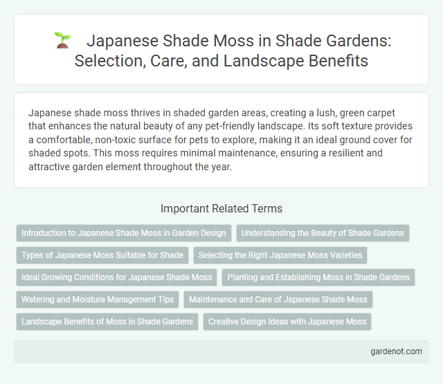Japanese Shade Moss in Shade Gardens: Selection, Care, and Landscape Benefits