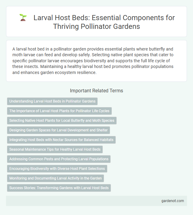 Larval Host Beds: Essential Components for Thriving Pollinator Gardens