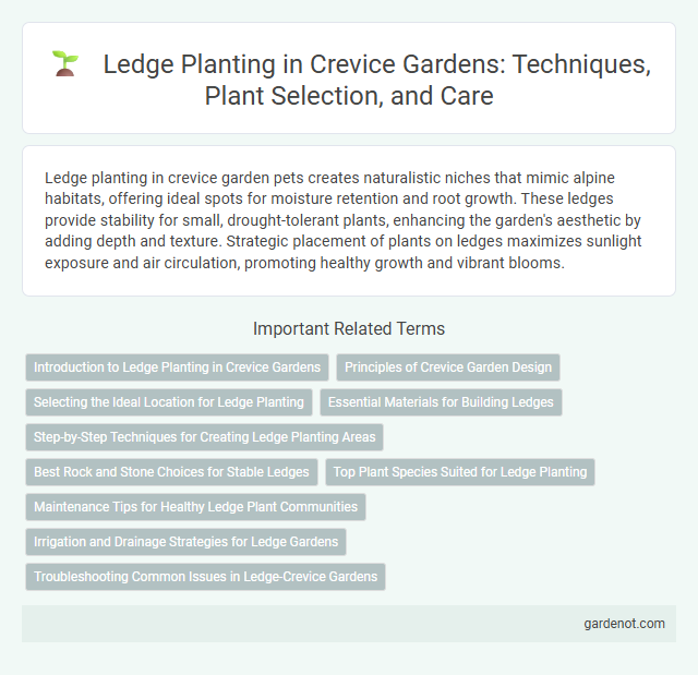 Ledge Planting in Crevice Gardens: Techniques, Plant Selection, and Care