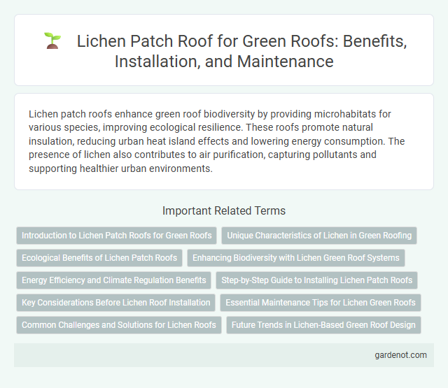 Lichen Patch Roof for Green Roofs: Benefits, Installation, and Maintenance