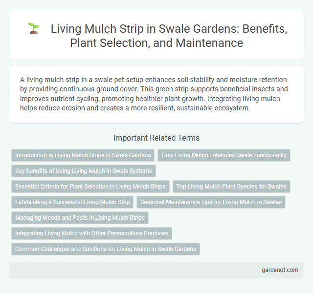 Living Mulch Strip in Swale Gardens: Benefits, Plant Selection, and Maintenance