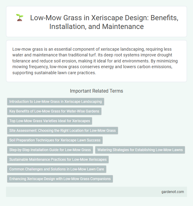 Low-Mow Grass in Xeriscape Design: Benefits, Installation, and Maintenance