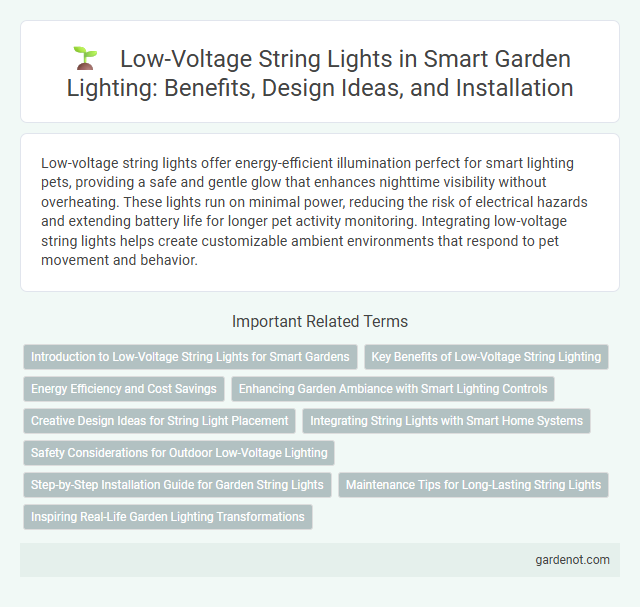 Low-Voltage String Lights in Smart Garden Lighting: Benefits, Design Ideas, and Installation
