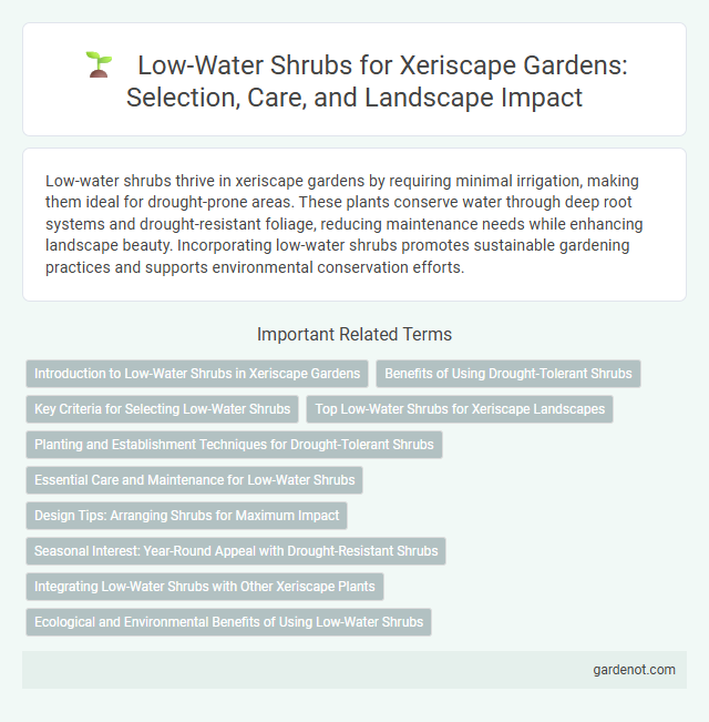Low-Water Shrubs for Xeriscape Gardens: Selection, Care, and Landscape Impact
