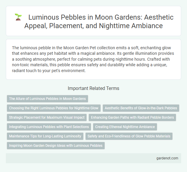 Luminous Pebbles in Moon Gardens: Aesthetic Appeal, Placement, and Nighttime Ambiance