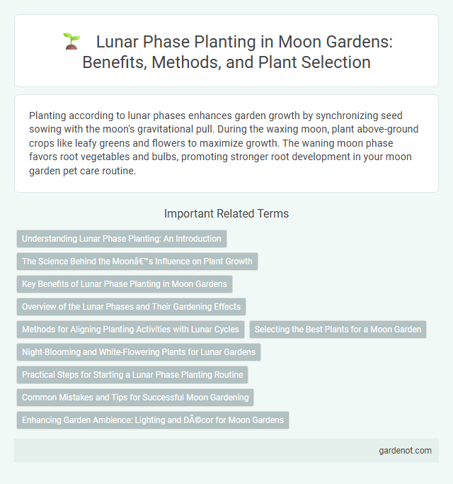 Lunar Phase Planting in Moon Gardens: Benefits, Methods, and Plant Selection