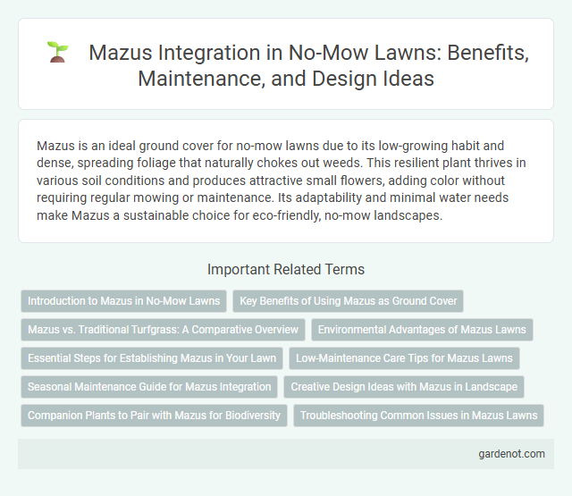 Mazus Integration in No-Mow Lawns: Benefits, Maintenance, and Design Ideas