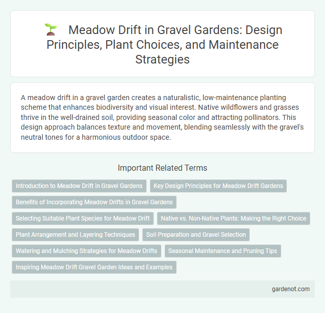 Meadow Drift in Gravel Gardens: Design Principles, Plant Choices, and Maintenance Strategies
