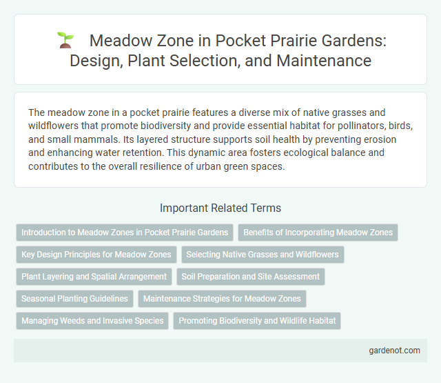 Meadow Zone in Pocket Prairie Gardens: Design, Plant Selection, and Maintenance