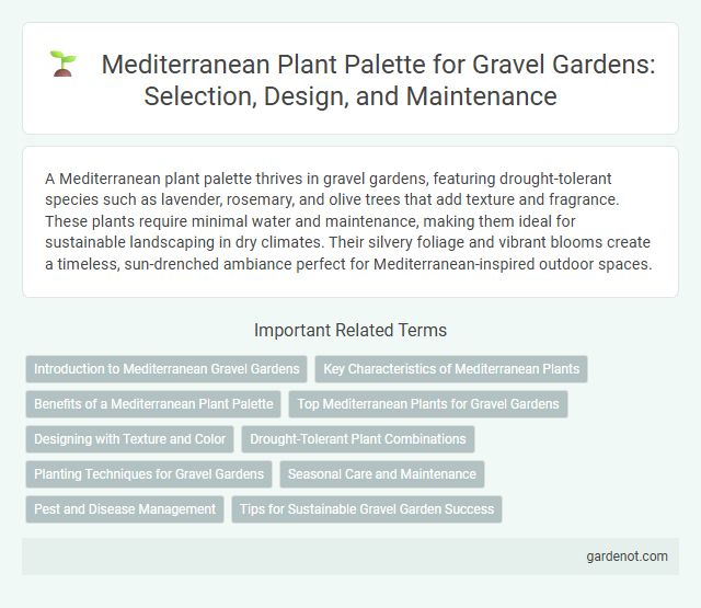 Mediterranean Plant Palette for Gravel Gardens: Selection, Design, and Maintenance