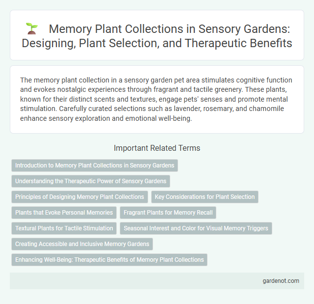Memory Plant Collections in Sensory Gardens: Designing, Plant Selection, and Therapeutic Benefits
