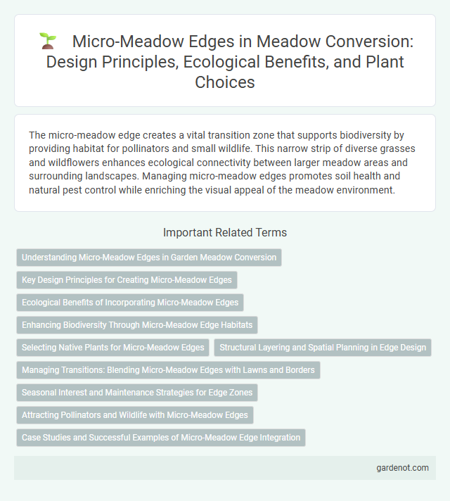 Micro-Meadow Edges in Meadow Conversion: Design Principles, Ecological Benefits, and Plant Choices