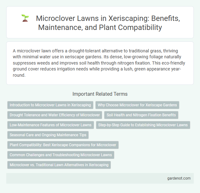 Microclover Lawns in Xeriscaping: Benefits, Maintenance, and Plant Compatibility
