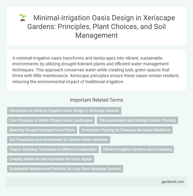 Minimal-Irrigation Oasis Design in Xeriscape Gardens: Principles, Plant Choices, and Soil Management