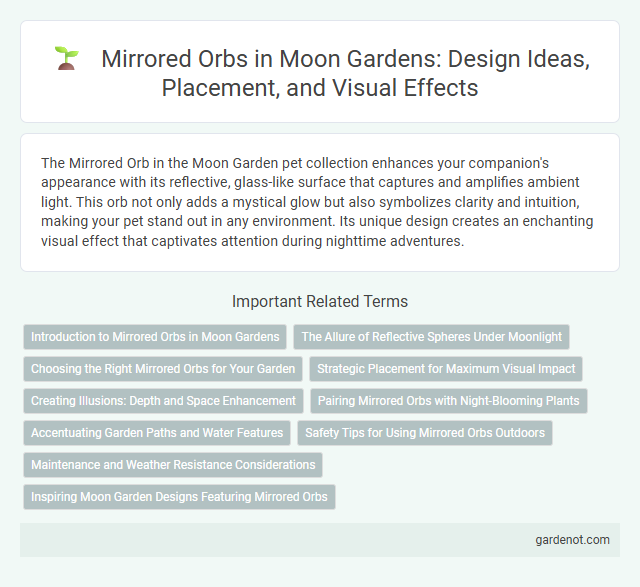 Mirrored Orbs in Moon Gardens: Design Ideas, Placement, and Visual Effects