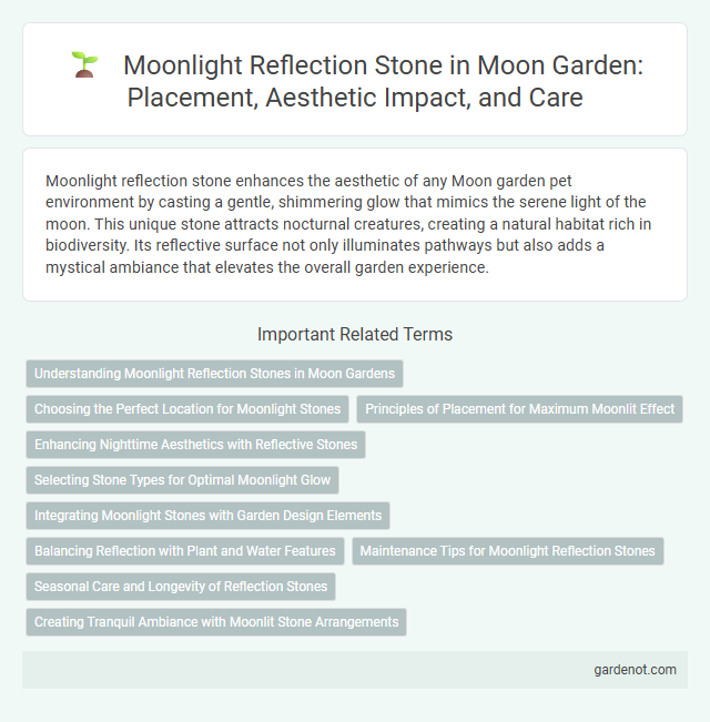 Moonlight Reflection Stone in Moon Garden: Placement, Aesthetic Impact, and Care
