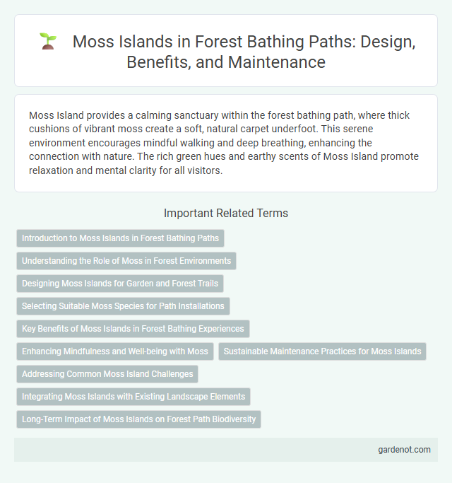 Moss Islands in Forest Bathing Paths: Design, Benefits, and Maintenance