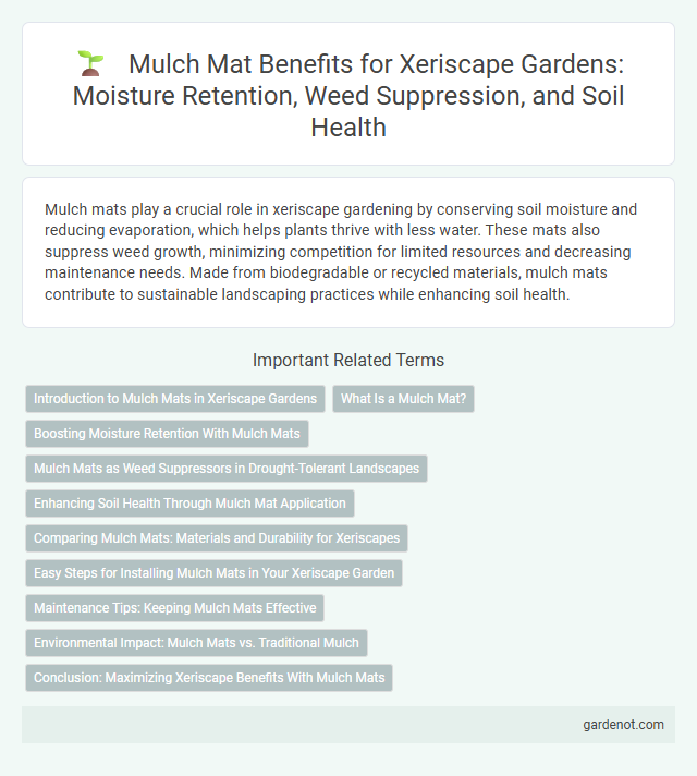 Mulch Mat Benefits for Xeriscape Gardens: Moisture Retention, Weed Suppression, and Soil Health