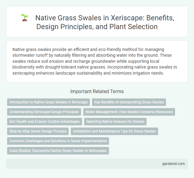 Native Grass Swales in Xeriscape: Benefits, Design Principles, and Plant Selection