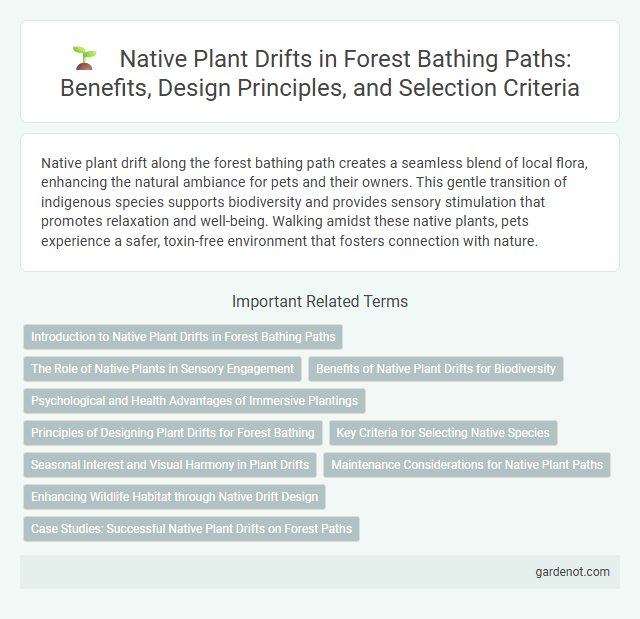 Native Plant Drifts in Forest Bathing Paths: Benefits, Design Principles, and Selection Criteria