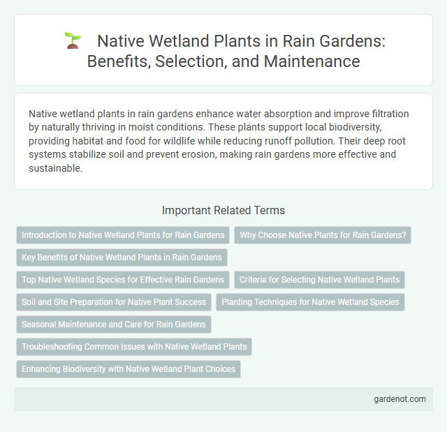 Native Wetland Plants in Rain Gardens: Benefits, Selection, and Maintenance