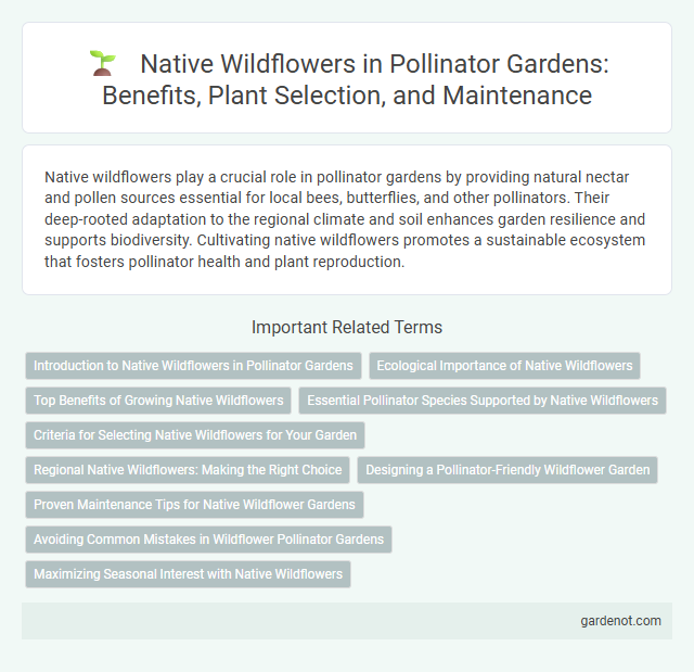 Native Wildflowers in Pollinator Gardens: Benefits, Plant Selection, and Maintenance