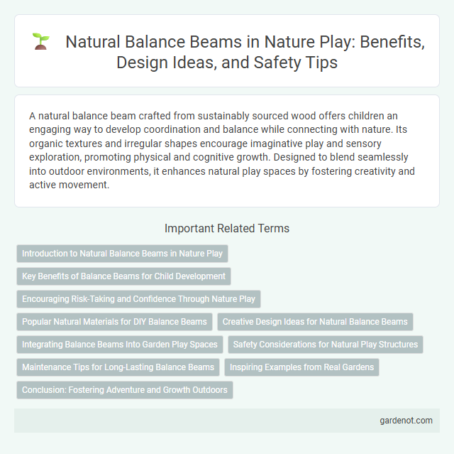Natural Balance Beams in Nature Play: Benefits, Design Ideas, and Safety Tips