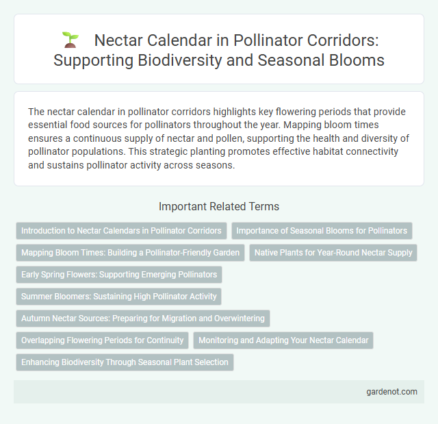 Nectar Calendar in Pollinator Corridors: Supporting Biodiversity and Seasonal Blooms