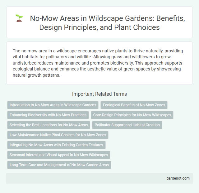No-Mow Areas in Wildscape Gardens: Benefits, Design Principles, and Plant Choices