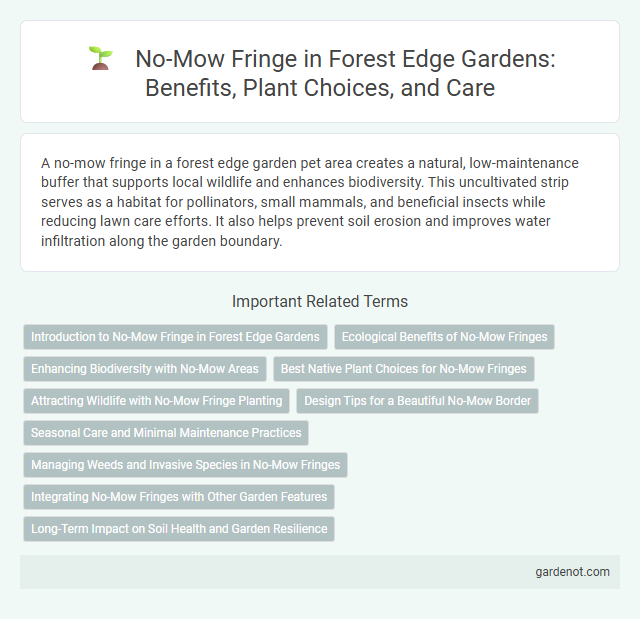 No-Mow Fringe in Forest Edge Gardens: Benefits, Plant Choices, and Care
