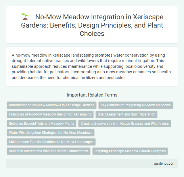 No-Mow Meadow Integration in Xeriscape Gardens: Benefits, Design Principles, and Plant Choices
