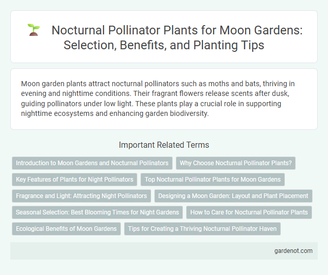 Nocturnal Pollinator Plants for Moon Gardens: Selection, Benefits, and Planting Tips