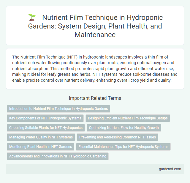 Nutrient Film Technique in Hydroponic Gardens: System Design, Plant Health, and Maintenance
