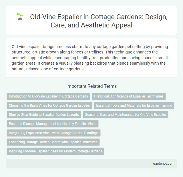 Old-Vine Espalier in Cottage Gardens: Design, Care, and Aesthetic Appeal