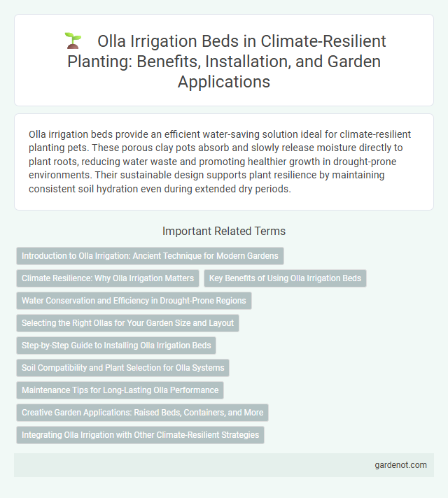 Olla Irrigation Beds in Climate-Resilient Planting: Benefits, Installation, and Garden Applications