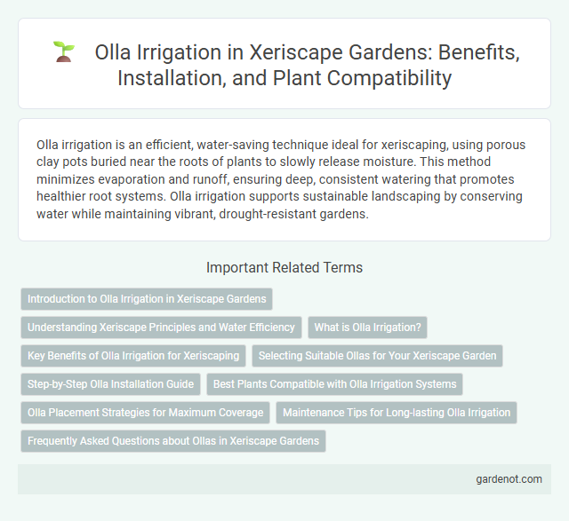 Olla Irrigation in Xeriscape Gardens: Benefits, Installation, and Plant Compatibility