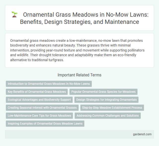 Ornamental Grass Meadows in No-Mow Lawns: Benefits, Design Strategies, and Maintenance
