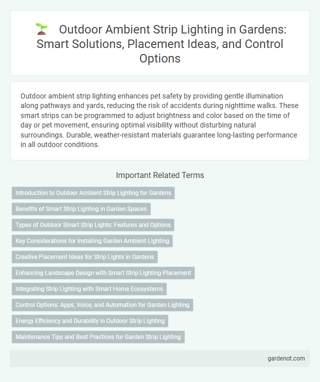 Outdoor Ambient Strip Lighting in Gardens: Smart Solutions, Placement Ideas, and Control Options
